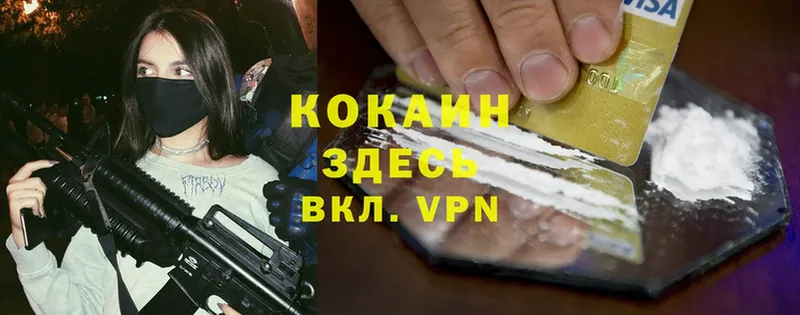 Cocaine Эквадор  hydra как зайти  Каргат 